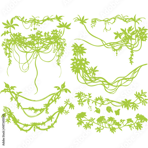 Jungle Vines and Lianas Tropical Green Foliage Illustration Set
