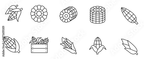 Corn icon set in thin line style. vector