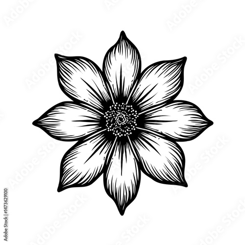 Monochrome Floral Illustration: Elegant Botanical Design with Intricate Details