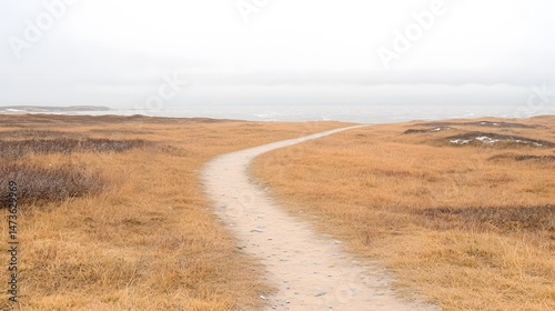 Winding Path Through a Yellow Grassland Under a Grey Sky
