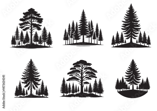 Pine Tree Forest Silhouette Vector Set