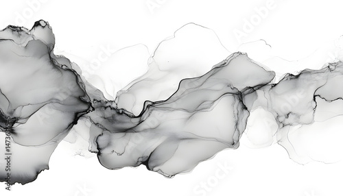 Obraz na płótnie Dark gray ink painting isolated on white, top view w salonie