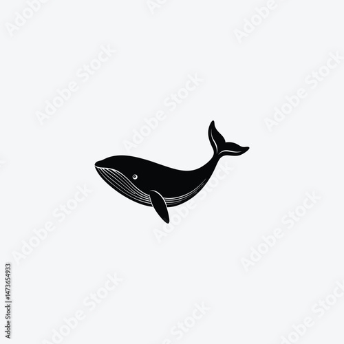 Blue Whale Animal Vector Illustration