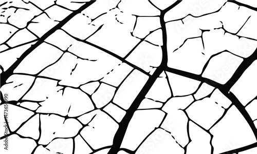 White black grey concrete wall, floor with cracks, texture background, cracked paint