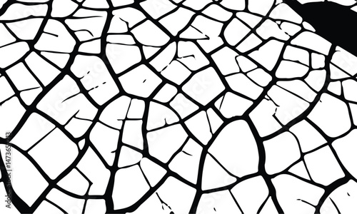 White black grey concrete wall, floor with cracks, texture background, cracked paint