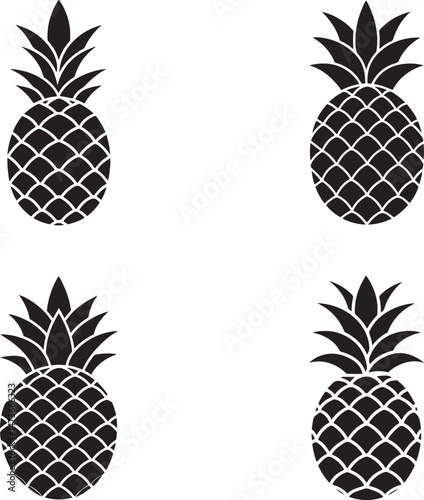 vector  of pineapple