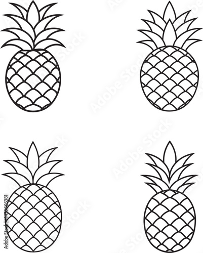 vector of pineapple