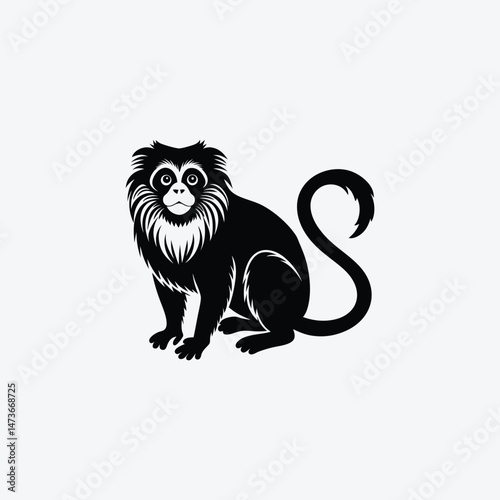 Tamarin Animal Vector Illustration