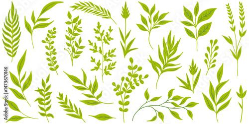 Set of elegant silhouettes of flowers, branches and leaves. Thin hand drawn vector botanical elements.	