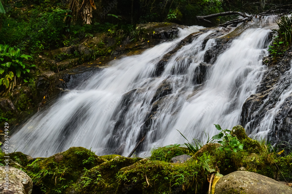 Naklejka premium Beautiful Small Waterfall in summer Forest in jungle at Doi Saket Distric, Chiang Mai, Thailand