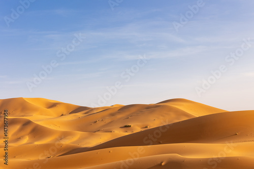 Quadro su tela Landscape background