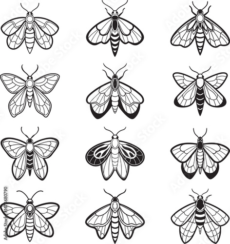 moth icon vector