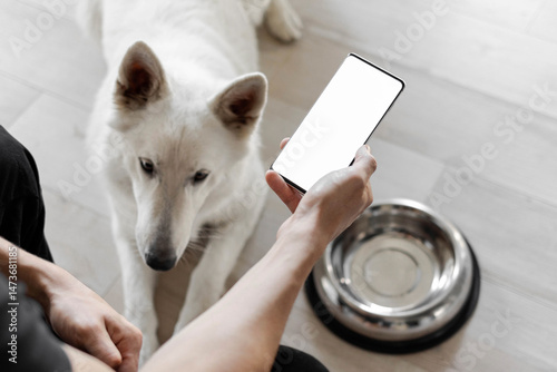 Hand with white screen phone near a hungry dog with an empty bowl. The concept of online ordering food for pets. Food delivery for domestic animals. Pet shop. Animal feed