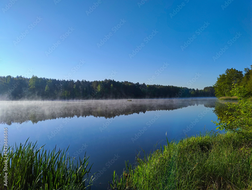 Słoneczny poranek nad jeziorem. Niebo jest bezchmurne, odbija się ono w idealnie gładkiej tafli jeziora. Na brzegu rośnie las. Nisko nad jeziorem unosi się opar mgły.