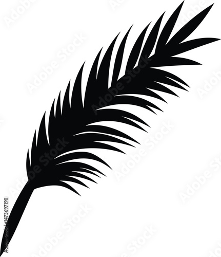 Elegant vector illustration of a bird feather, a natural symbol often used in art and design