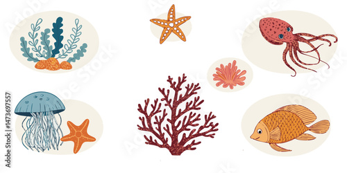 Educational Infographic-Style Vector Illustrations of Marine Life: Coral, Fish, Crab, Jellyfish, Starfish