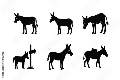 Donkey silhouette Vector bundle  illustration, Set of Donkey silhouette 