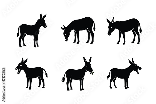 Donkey silhouette Vector bundle  illustration, Set of Donkey silhouette 