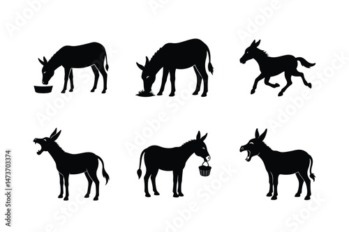 Donkey silhouette Vector bundle  illustration, Set of Donkey silhouette 