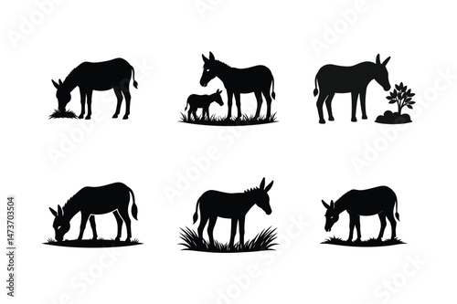Donkey silhouette Vector bundle  illustration, Set of Donkey silhouette 