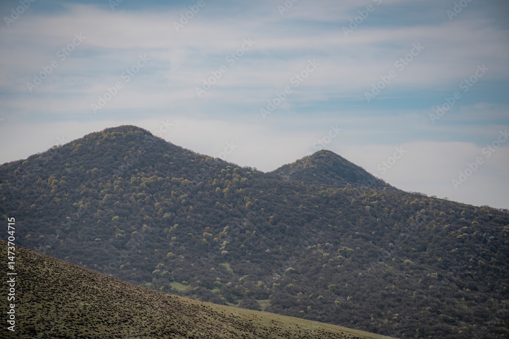 Obraz premium mountain road in the mountains