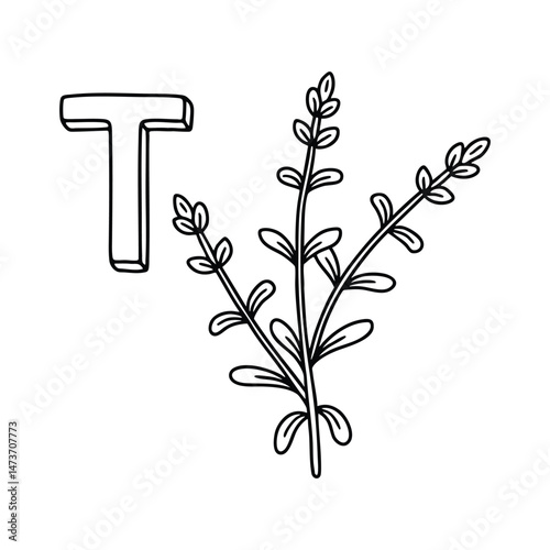 An illustration of letter T stands for Thyme