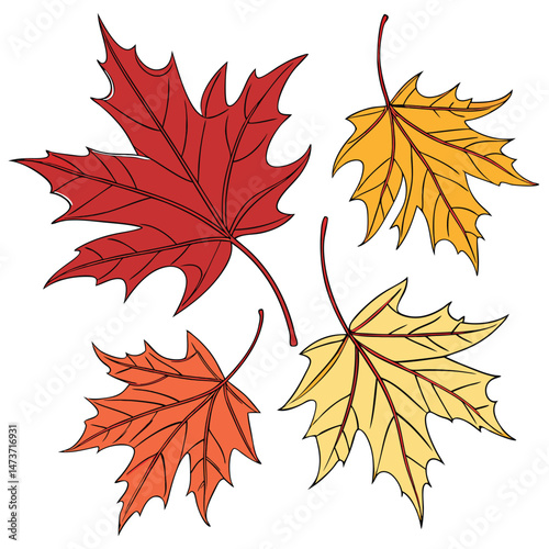 Set autumnal leaves vector image (37).eps