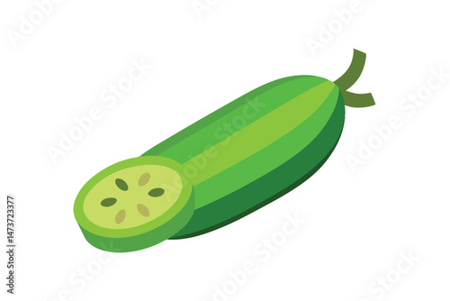 Fresh Green Luffa Acutangula with Slice Isolated Vector Illustration

