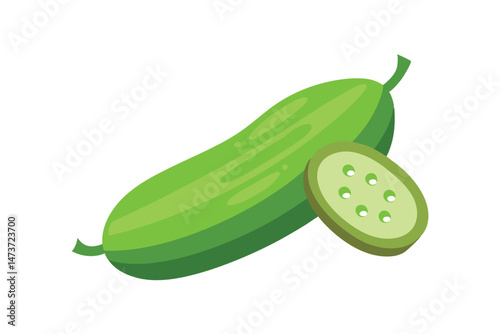 Fresh Green Luffa Acutangula with Slice Isolated Vector Illustration

