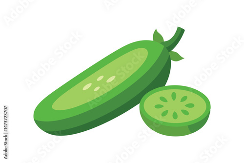 Fresh Green Luffa Acutangula with Slice Isolated Vector Illustration

