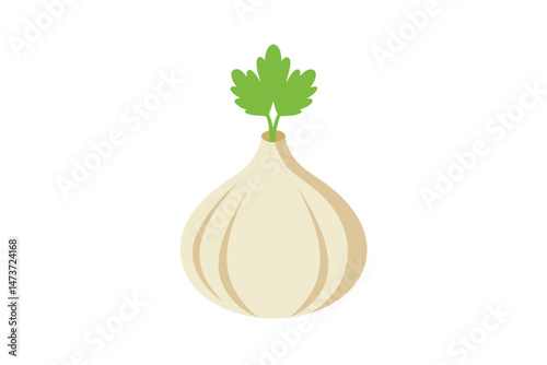 Garlic with Coriandrum Sativum Leaf Isolated Vector Illustration