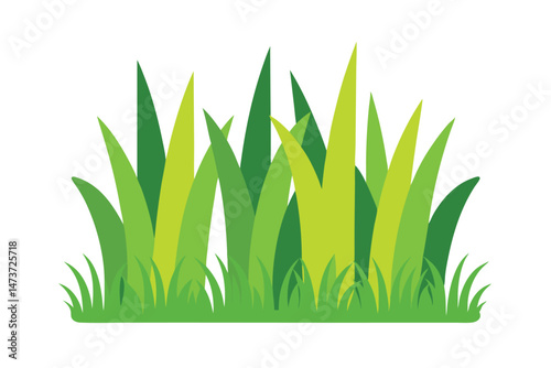 High Tropics Grass Meadow Flora Growth Row