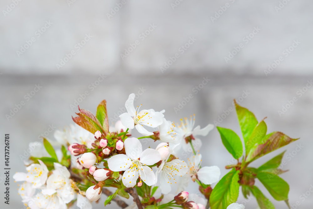 Tree blossoming branch with white flowers