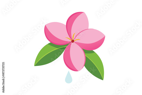 Pink Frangipani or Plumeria Tropical Flowers for Printable Graphic Design