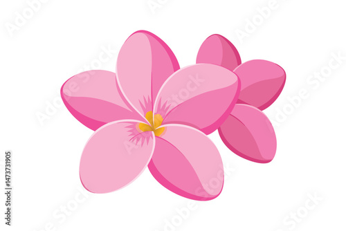 Pink Frangipani or Plumeria Tropical Flowers for Printable Graphic Design