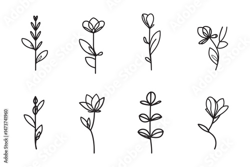 Purslane Minimal Leaf Line Icon Art