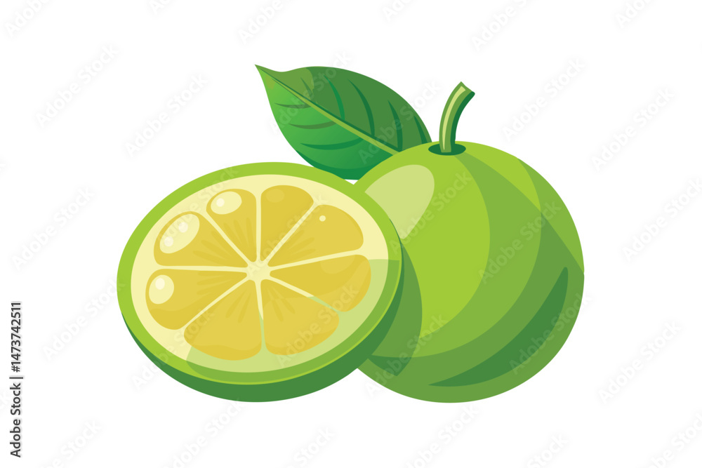 Fresh Whole and Half Bergamot with Green Leaves 