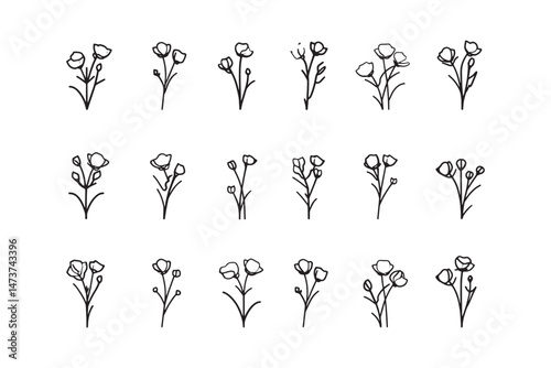 Outline Icon Purslane Herb Minimal Design