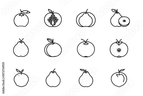 Quince Outline Modern Icon Illustration