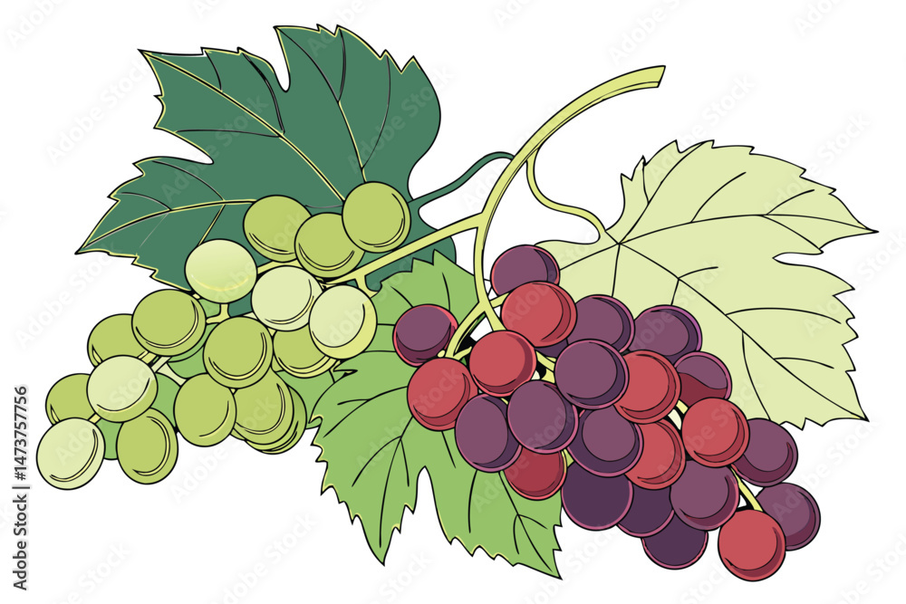 Obraz premium fresh_produce,colorful_grapes,vibrant_colors,bunch_of_grapes,variety_of_grapes,green_leaves,healthy_food,natural_lighting,high_quality_image,detailed_texture