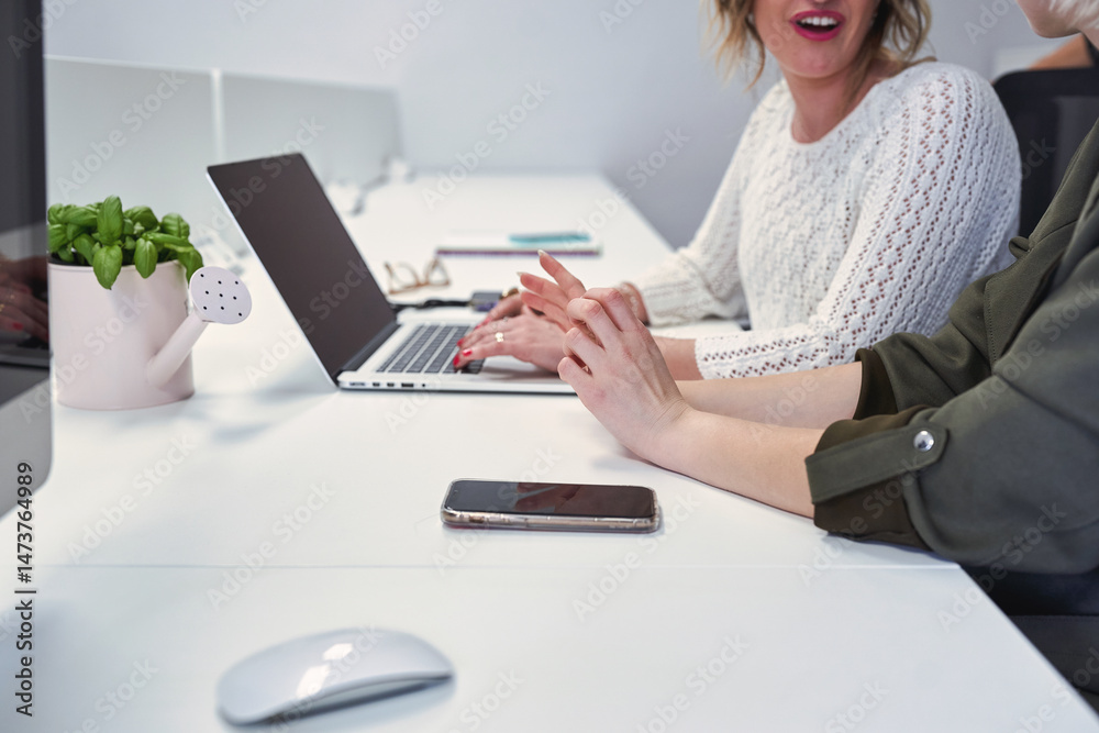 Fototapeta premium Hands of businesswomen talking and using laptop at office desk