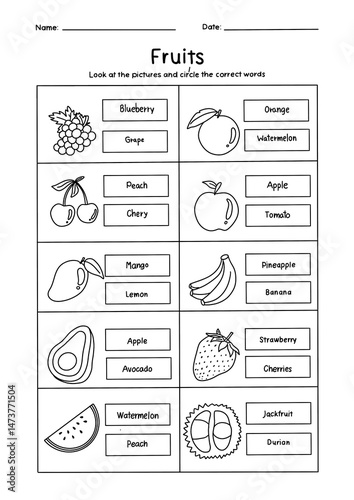 Fruit matching worksheet