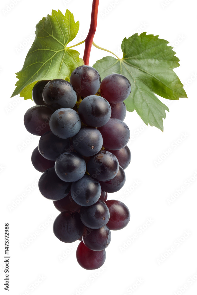 Fototapeta premium fresh grape cluster with leaves on white background