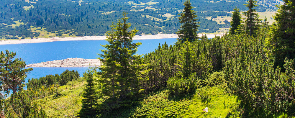 Beautiful Lake and mountains view with pine trees