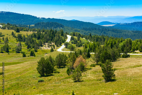 Obraz na płótnie Beautiful pine trees in high mountains landscape w salonie