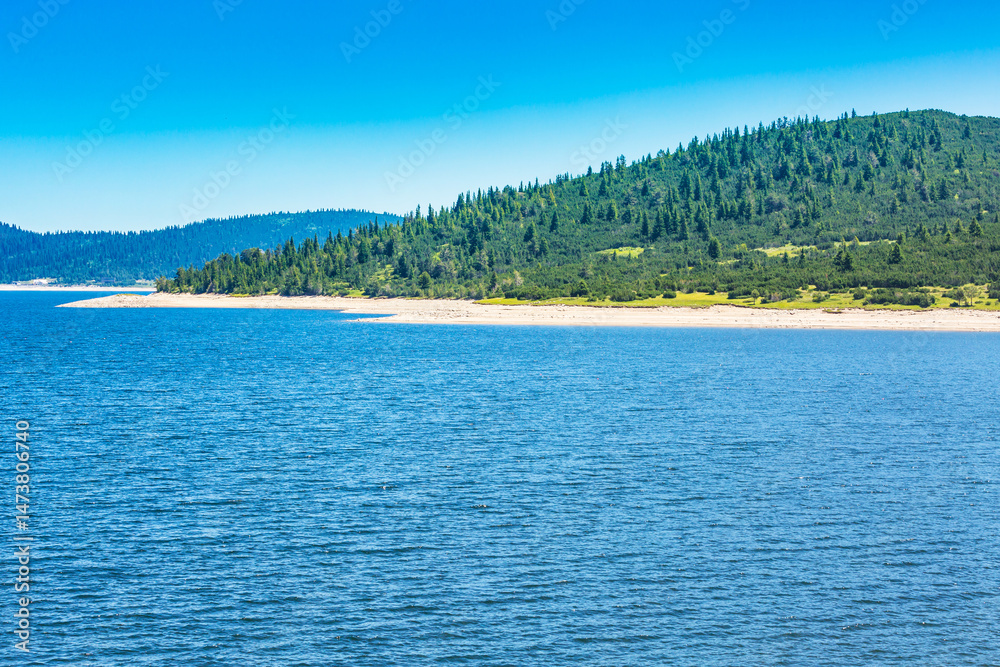 Beautiful Lake and mountains view with pine trees