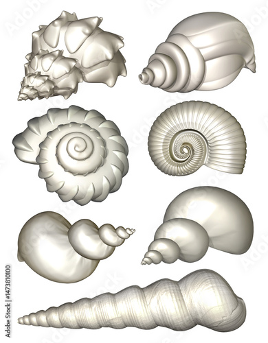 Collection of pearly white seashells, featuring a variety of intricate designs, including conch, spiral, sundial, and tower shells. 3D illustration 