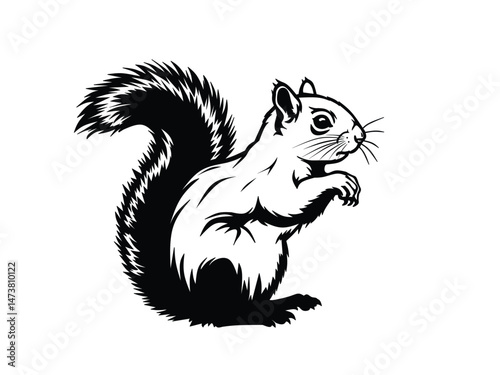 squirrel silhouette isolated with white background 