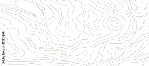 Topography map line contour territory, abstract landscape texture with grigs. Cartography map land or sea, geographic geometric sketch.