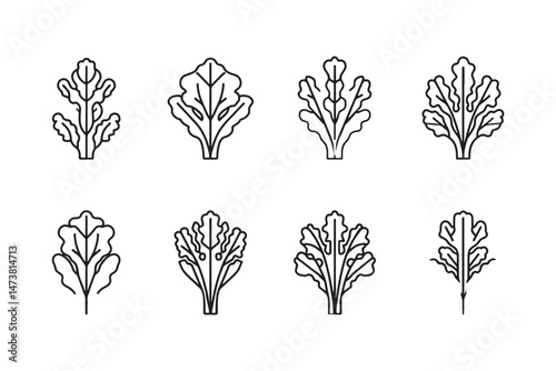 Sea kale line symbol collection